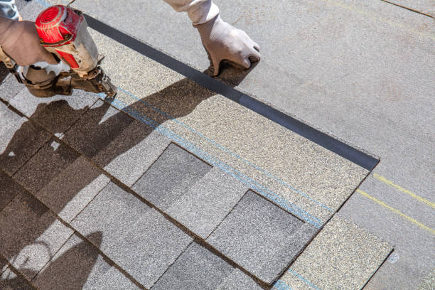 Best Roof Repair Services  in Lodi, OH